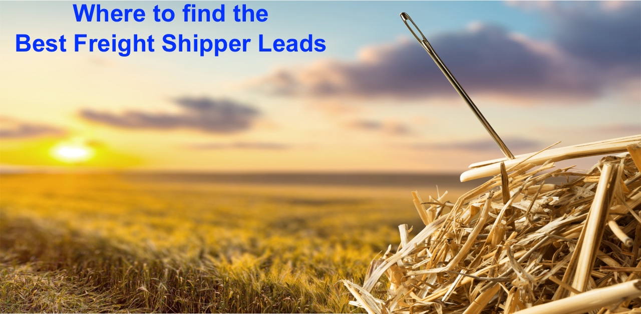 needle in a haystack - LinkedIn size.jpg